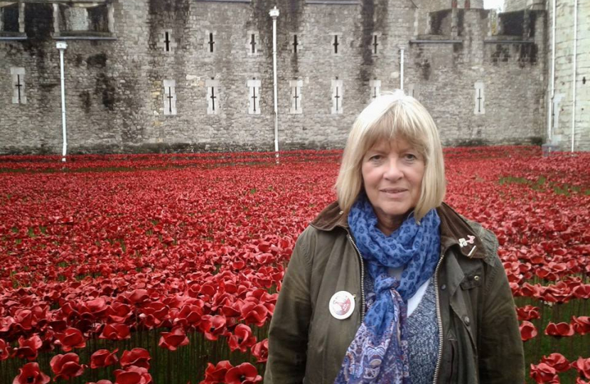 Celia Lawrence - Standing Up for Shephall